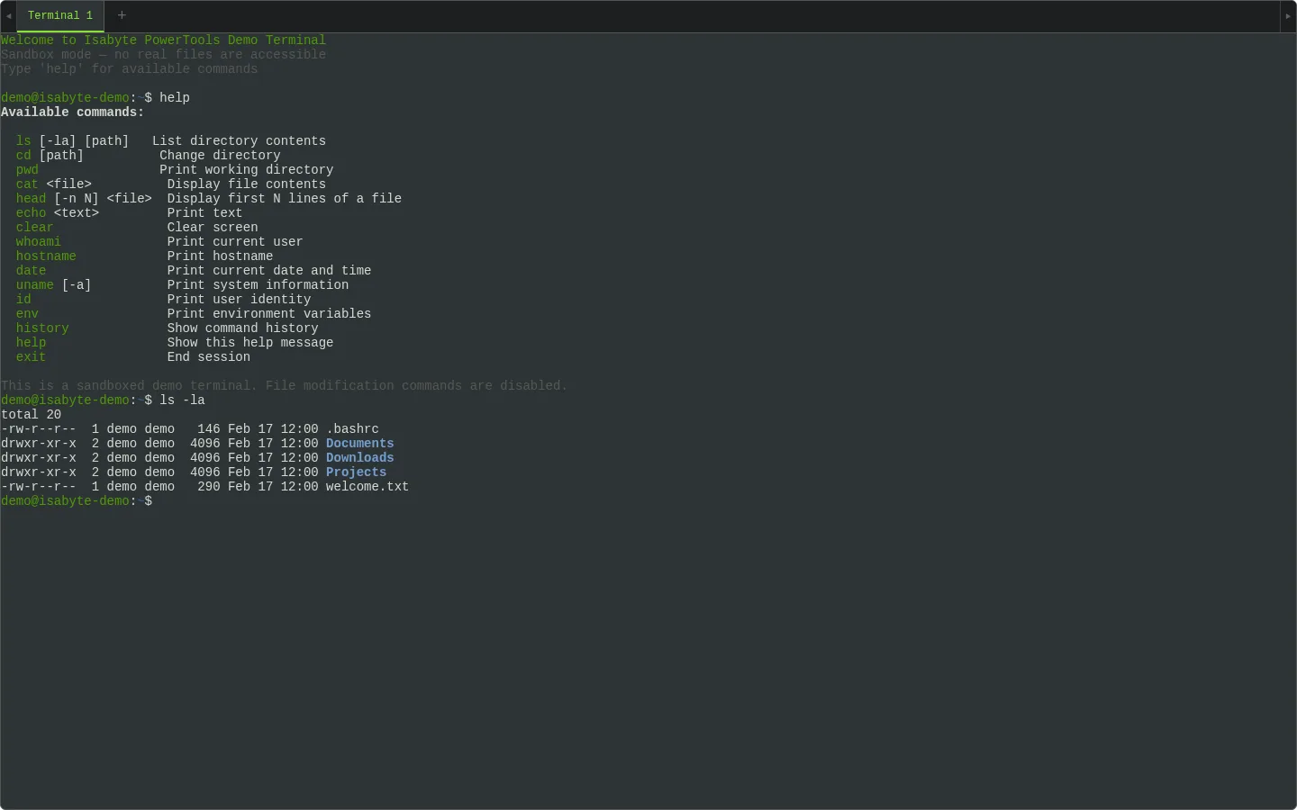 Terminal Client — Desktop
