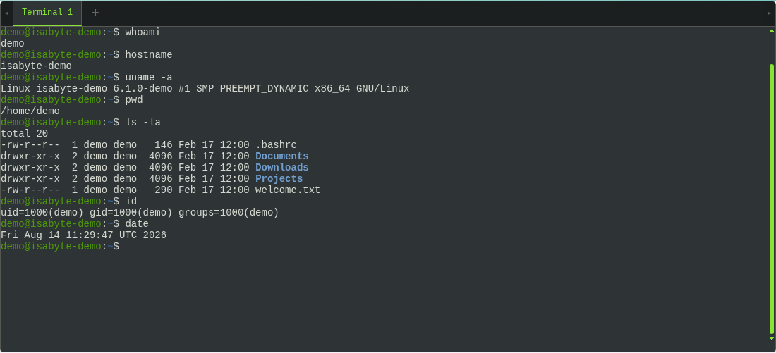 IsabyteTerminalClient — a live shell session in the browser